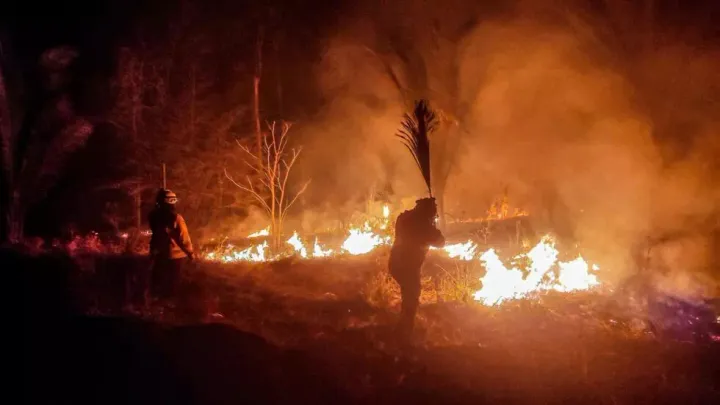 GOBIERNO DECLARA DESASTRE NACIONAL POR INCENDIOS FORESTALES